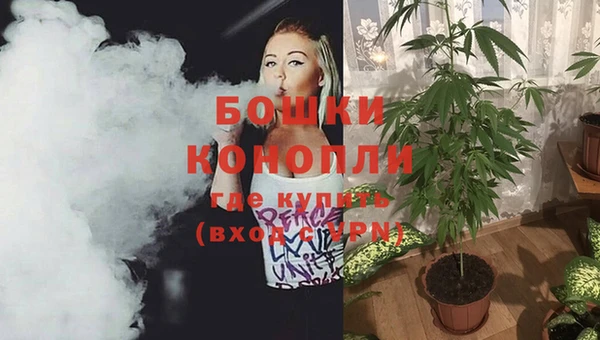 шишки Балахна
