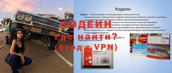 шишки Балахна