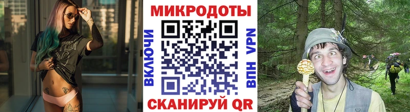 что такое   Белинский  Галлюциногенные грибы Cubensis 